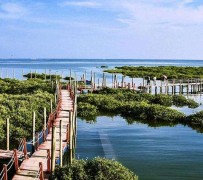桂平旅游哪里好玩(云南旅游哪里好玩)