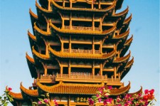 桂平武汉游玩攻略(武汉游玩攻略路线)