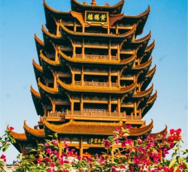 桂平武汉游玩攻略(武汉游玩攻略路线)
