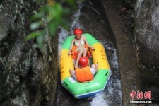 桂平伴游中国三亚(三亚结伴旅游网)