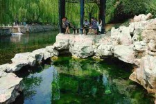 桂平济南旅游攻略(青岛威海济南旅游攻略)