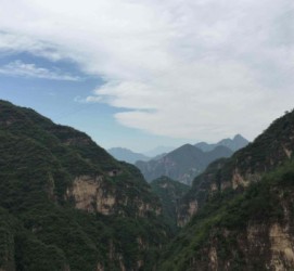 桂平伴游中国伴游城(伴游网上海)