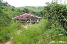 桂平青岛大学生兼职伴游(即墨兼职卖的女那种群)