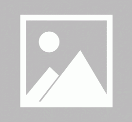 桂平私人伴游 黄金周里动“黄”经 天津又现“私人陪游”逆流