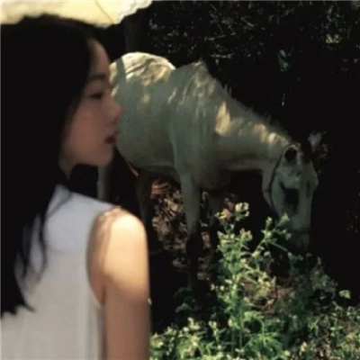 桂平私家伴游让你拥有一次完美的旅游体验